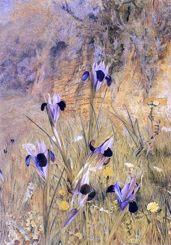  Henry Roderick Newman Irises in the Garden - Art Print