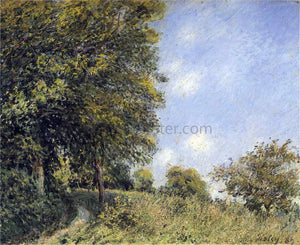  Alfred Sisley July Afternoon near the Forest - Art Print
