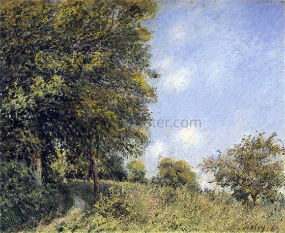  Alfred Sisley July Afternoon near the Forest - Art Print