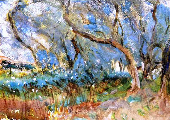  John Singer Sargent Landscape 1909 Corfu - Art Print