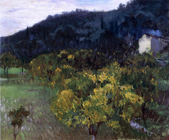  John Singer Sargent Landscape near Grasse - Art Print