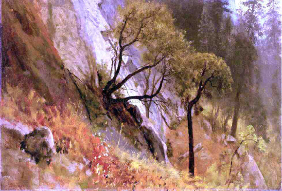  Albert Bierstadt Landscape Study: Yosemite, California - Art Print