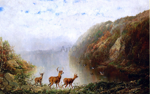  Herman Herzog Landscape with Deer and Ducks - Art Print