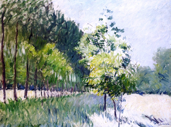  Gustave Caillebotte Lane Bordered by Trees - Art Print