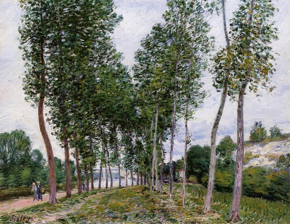  Alfred Sisley Lane of Poplars on the Banks of the Loing - Art Print