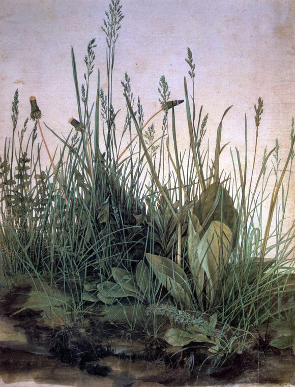  Albrecht Durer Large Turf - Art Print