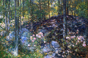  Frederick Childe Hassam Laurel on the Ledges - Art Print