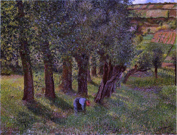  Camille Pissarro Le Chou a Pontoise (also known as La Moussiere) - Art Print