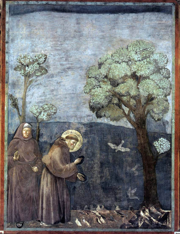  Giotto Di Bondone Legend of St Francis: 15. Sermon to the Birds (Upper Church, San Francesco, Assisi) - Art Print