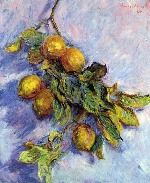  Claude Oscar Monet Lemons on a Branch - Art Print