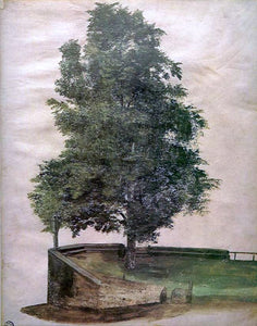  Albrecht Durer Linden Tree on a Bastion - Art Print
