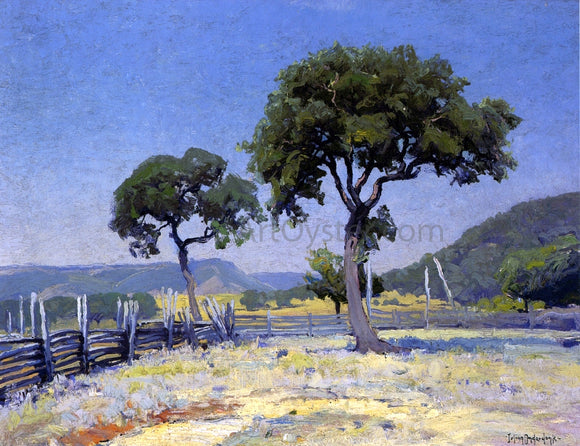  Julian Onderdonk Live Oak Trees On Williams' Ranch, Bandera County - Art Print