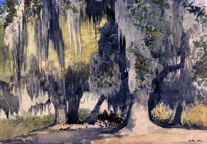  Winslow Homer Live Oaks - Art Print