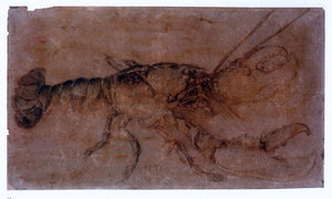  Albrecht Durer Lobster - Art Print