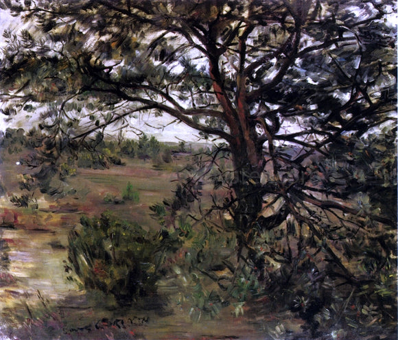  Lovis Corinth Luneberger Heide - Art Print