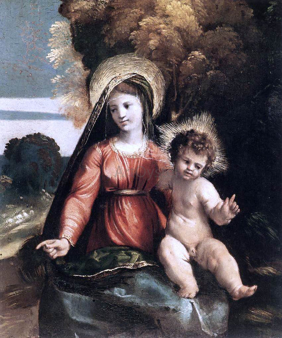  Dosso Dossi Madonna and Child - Art Print