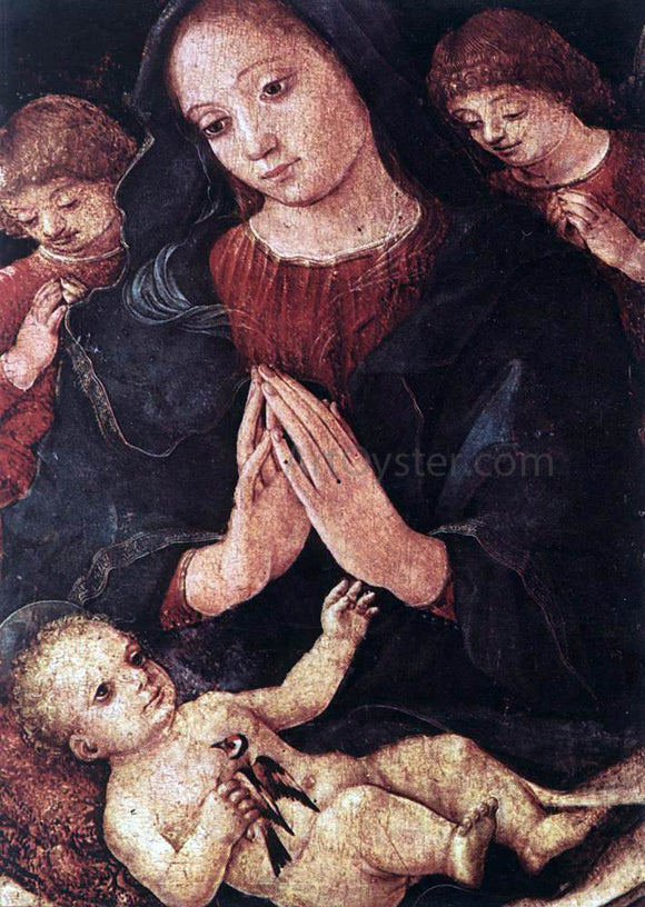  Liberale Da Verona Madonna del Cardellino - Art Print