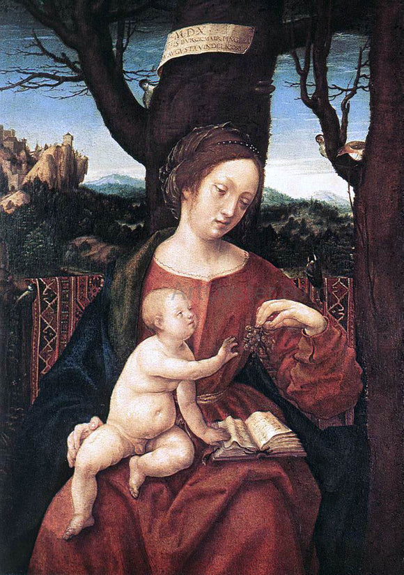  Hans Burgkmair Madonna with Grape - Art Print