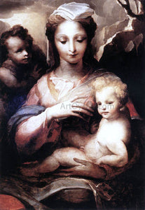  Domenico Beccafumi Madonna with the Infant Christ and St John the Baptist - Art Print