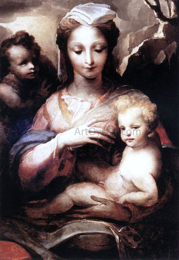  Domenico Beccafumi Madonna with the Infant Christ and St John the Baptist - Art Print