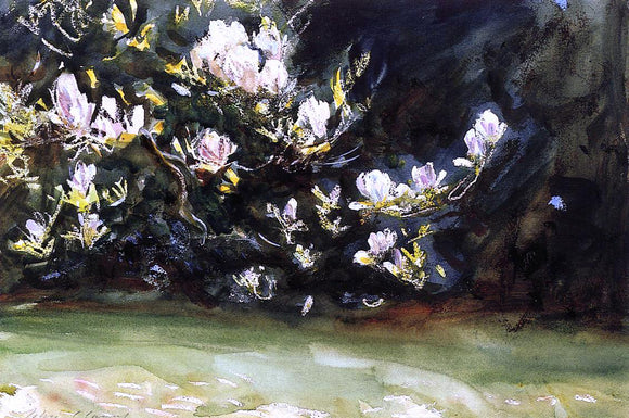  John Singer Sargent Magnolias - Art Print