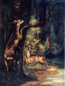  Gustave Courbet Male and Female Deer in the Woods - Art Print