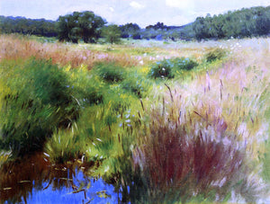  Dennis Miller Bunker Marshland, Medfield - Art Print