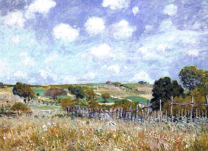  Alfred Sisley Meadow - Art Print