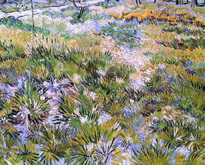  Vincent Van Gogh Meadow in the Garden of Saint-Paul Hospital - Art Print
