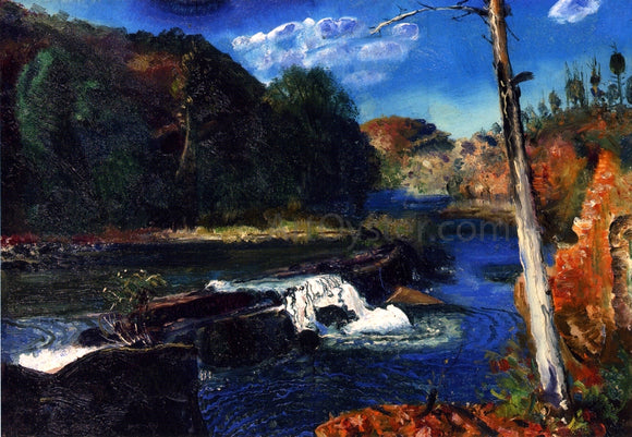  George Wesley Bellows Mill Dam - Art Print