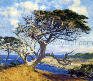  Guy Orlando Rose Monterey Cypress - Art Print