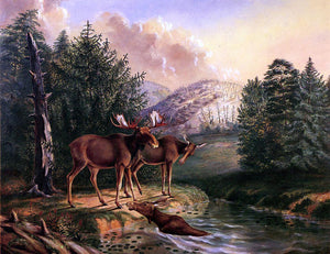  II Titian Ramsey Peale Moose in Maine - Art Print