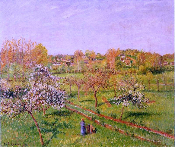  Camille Pissarro Morning, Flowering Apple Trees, Eragny - Art Print