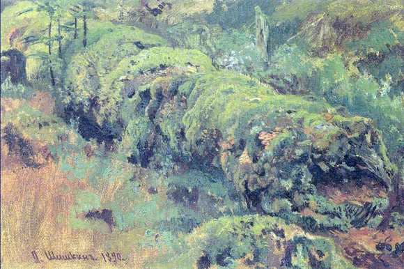  Ivan Ivanovich Shishkin Mossy punk wood (etude) - Art Print