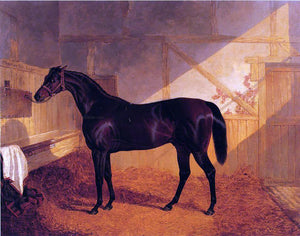  Sr. John Frederick Herring Mr. Johnstone's "Charles XII" in a Stable - Art Print