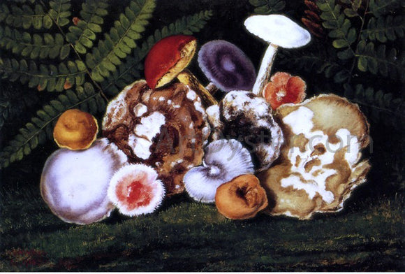  William Aiken Walker Mushrooms - Art Print