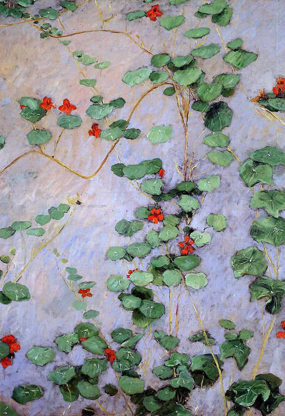  Gustave Caillebotte Nasturtiums - Art Print