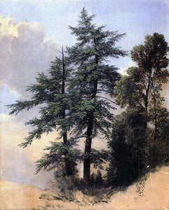  Asher Brown Durand Nature Study, Trees, Newburth, N.Y. - Art Print