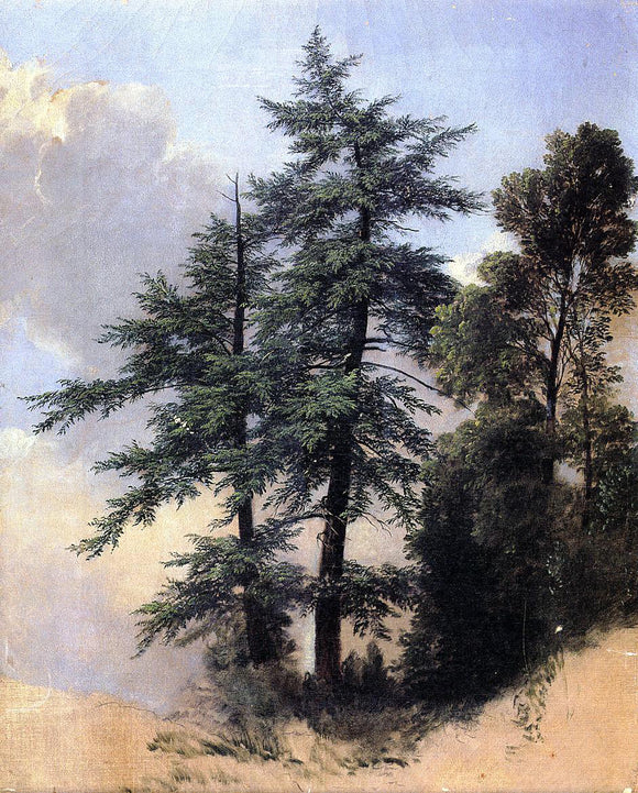  Asher Brown Durand Nature Study, Trees, Newburth, N.Y. - Art Print