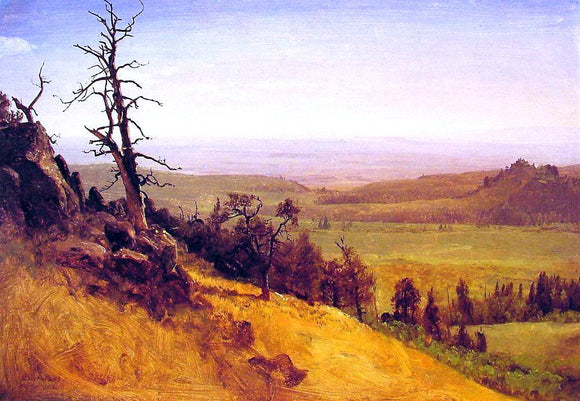  Albert Bierstadt Nebraska Wasatch Mountains - Art Print