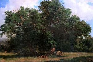  Johannes Bosboom Oak Trees - Art Print