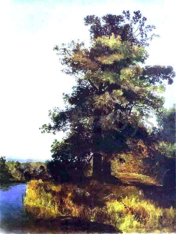  Alexei Kondratevich Savrasov Oaks - Art Print