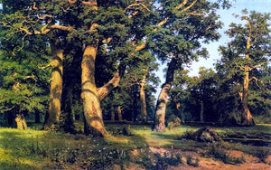  Ivan Ivanovich Shishkin Oak-wood - Art Print