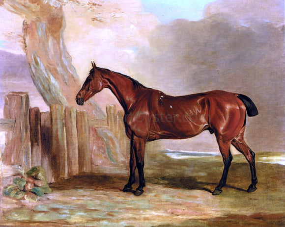  Ben Marshall An Old Favourite, a Bay Hunter in a Landscape - Art Print