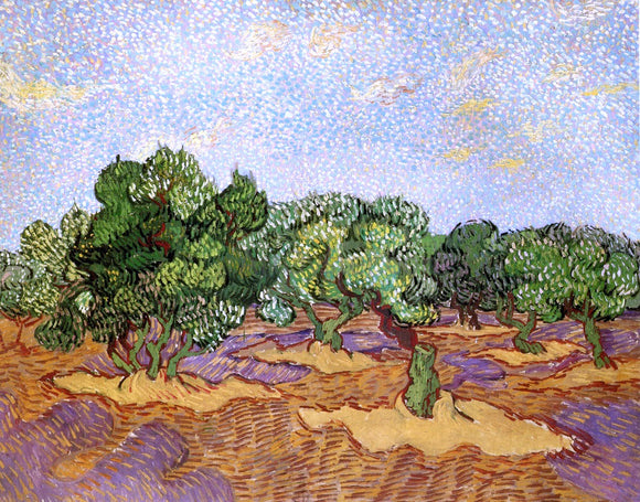  Vincent Van Gogh Olive Grove: Pale Blue Sky - Art Print