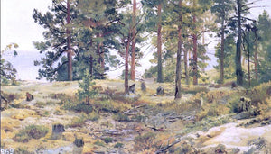  Ivan Ivanovich Shishkin On Sandy Ground - Art Print