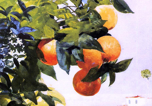  Winslow Homer Oranges on a Branch - Art Print