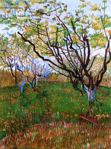  Vincent Van Gogh Orchard in Bloom - Art Print