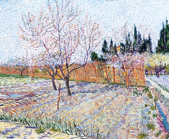  Vincent Van Gogh Orchard with Peach Trees in Blossom - Art Print