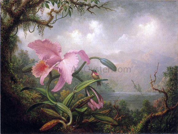  Martin Johnson Heade Orchid and Hummingbird - Art Print
